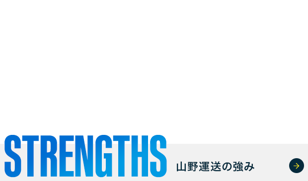 bnrhalf_strengths_cover